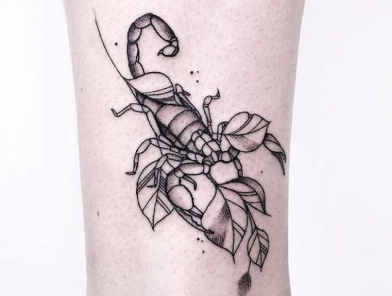 Tattoo bọ cạp và lá cây cực kỳ phù hợp với bạn nữ