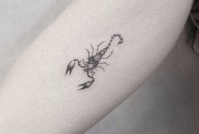 Hình xăm bọ cạp mini ở cánh tay