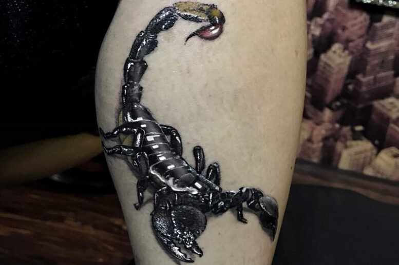 Tattoo bọ cạp cực chi tiết