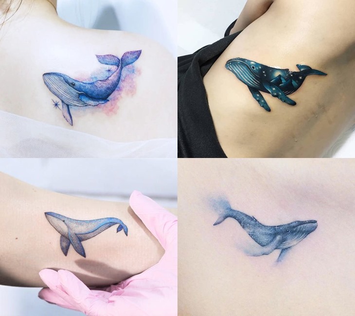 11 Cá voi xanh ý tưởng  cá voi xanh cá voi hình xăm